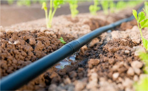 in-line-drip-irrigation-system-500x500